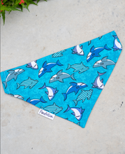 Load image into Gallery viewer, SHARK BANDANA
