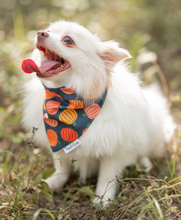 Load image into Gallery viewer, NAVY PUMPKIN BANDANA
